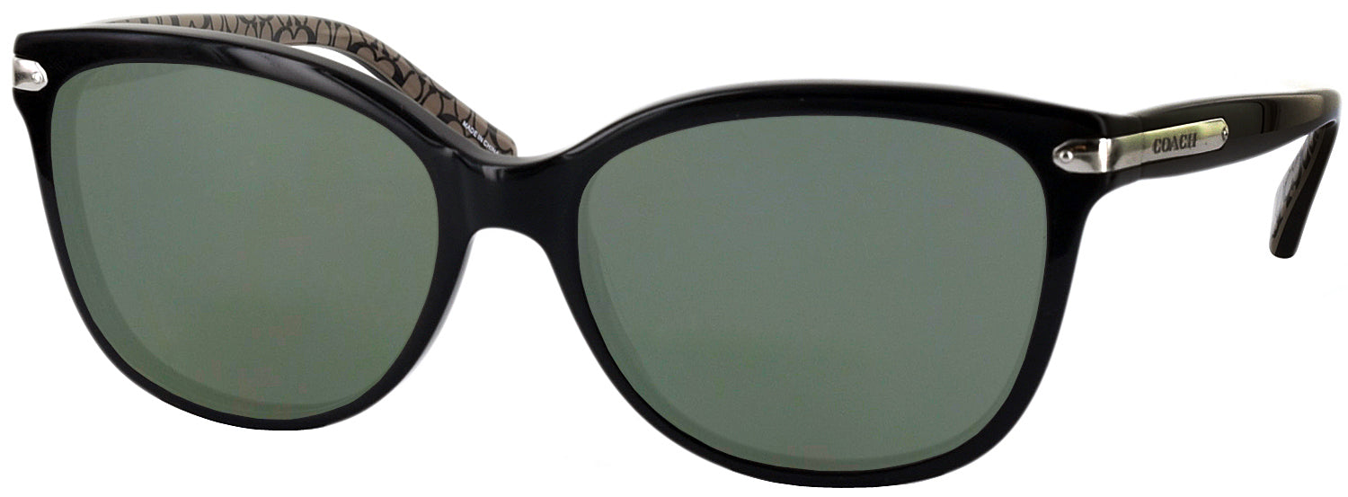 Coach on sale sunglasses hc8132