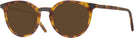 Round Light Tortoise Stanton Progressive No-Line Reading Sunglasses View #1