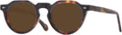 Round Tortoise Truman Progressive No Line Reading Sunglasses View #1