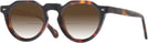 Round Tortoise Truman w/ Gradient Bifocal Reading Sunglasses View #1