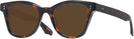 Square Tortoise Goo Goo Eyes 923 Progressive No-Line Reading Sunglasses View #1