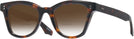 Square Tortoise Goo Goo Eyes 923 w/ Gradient Bifocal Reading Sunglasses View #1