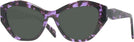 Cat Eye Purple Tortoise Goo Goo Eyes 933 Progressive No-Line Reading Sunglasses View #1