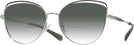 Cat Eye,Oversized Shiny Silver/black Coach 7162 w/ Gradient Bifocal Reading Sunglasses View #1