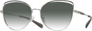 Cat Eye,Oversized Shiny Silver/black Coach 7162 w/ Gradient Progressive No-Line Reading Sunglasses View #1