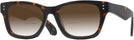 Square Tortoise Millicent Bryce 175 w/ Gradient Bifocal Reading Sunglasses View #1