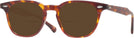 Square Tortoise Orville Bifocal Reading Sunglasses View #1