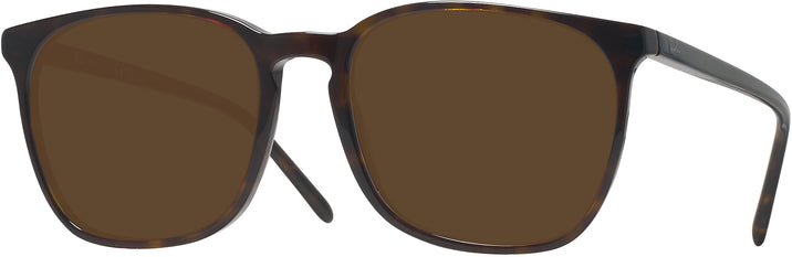 Square Havana Ray-Ban 5387L Progressive No-Line Reading Sunglasses View #1