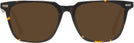 Square Tortoise Seattle Eyeworks 1002 Progressive No-Line Reading Sunglasses View #2