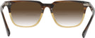 Square Brown Fade Seattle Eyeworks 1002 w/ Gradient Bifocal Reading Sunglasses View #4