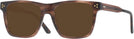 Square Transparent Brown Seattle Eyeworks 984 Progressive No-Line Reading Sunglasses View #1