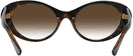 Oval Havana Versace 4455U w/ Gradient Bifocal Reading Sunglasses View #4